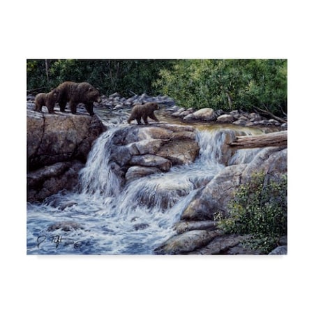 Jeff Tift 'Entiat Falls Grizzly Family' Canvas Art,35x47